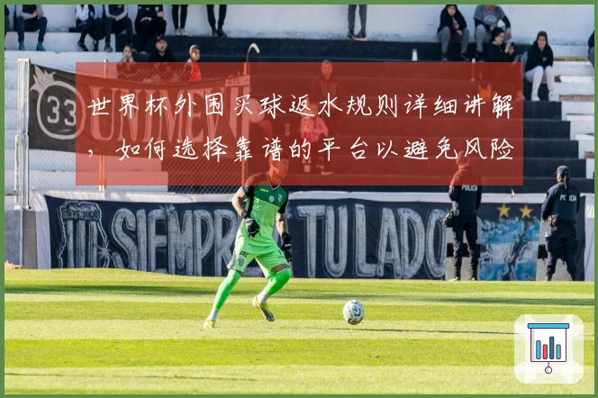 世界杯外围买球返水规则详细讲解，如何选择靠谱的平台以避免风险