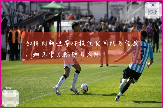 如何判断世界杯投注官网的可信度，避免常见陷阱与风险