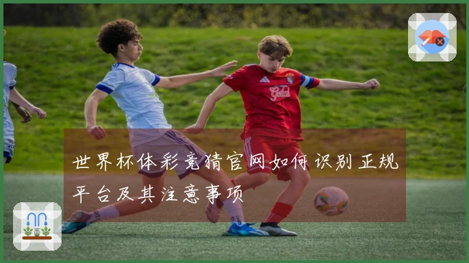 世界杯体彩竞猜官网如何识别正规平台及其注意事项