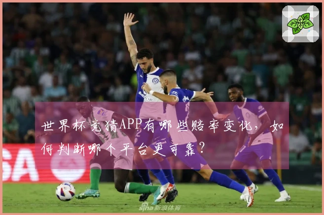 世界杯竞猜APP有哪些赔率变化，如何判断哪个平台更可靠？