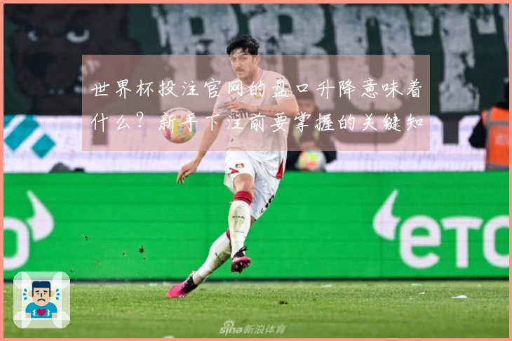 世界杯投注官网的盘口升降意味着什么?新手下注前要掌握的关键知识