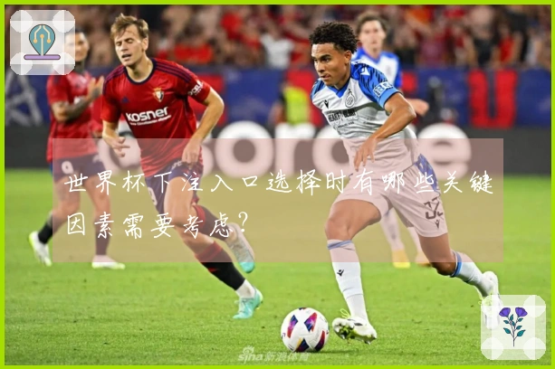 世界杯下注入口选择时有哪些关键因素需要考虑？