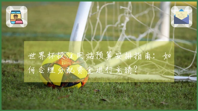 世界杯投注网站预算安排指南：如何合理分配资金进行竞猜？