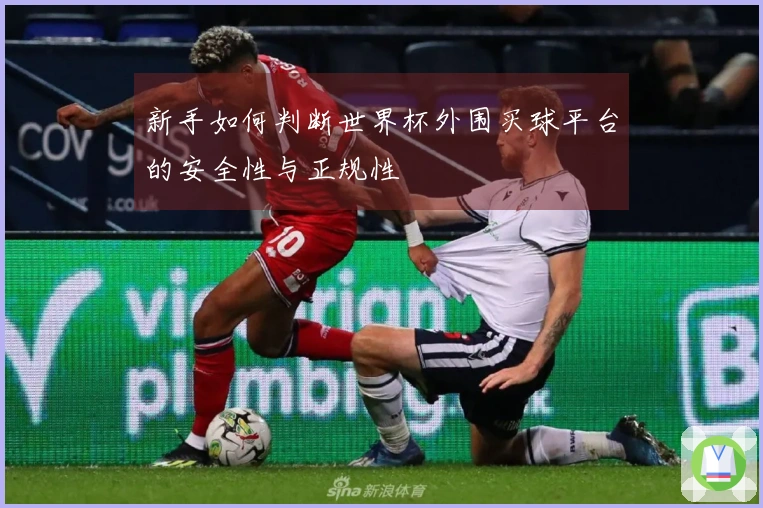 新手如何判断世界杯外围买球平台的安全性与正规性