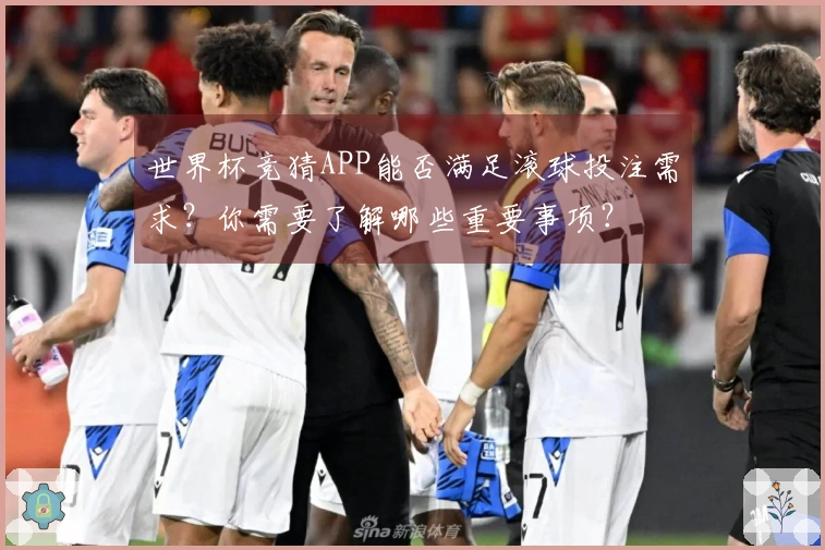 世界杯竞猜APP能否满足滚球投注需求？你需要了解哪些重要事项？
