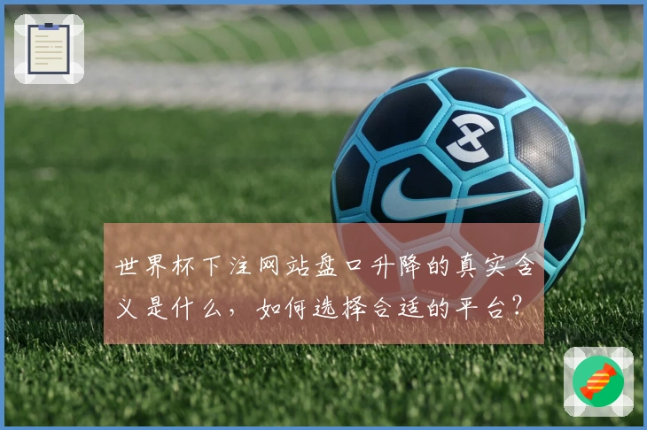 世界杯下注网站盘口升降的真实含义是什么，如何选择合适的平台？
