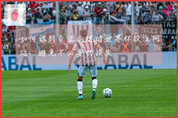 如何识别合法合规的世界杯投注网站，避免不必要的损失