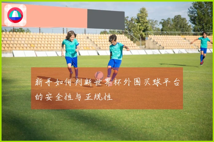 新手如何判断世界杯外围买球平台的安全性与正规性