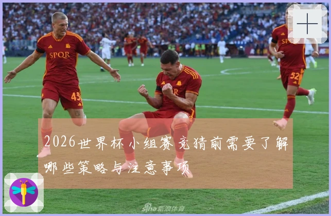 2026世界杯小组赛竞猜前需要了解哪些策略与注意事项