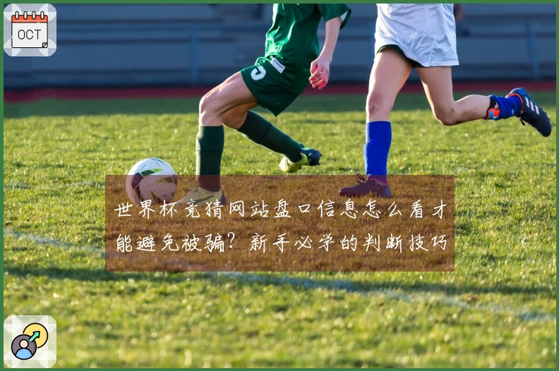 世界杯竞猜网站盘口信息怎么看才能避免被骗？新手必学的判断技巧