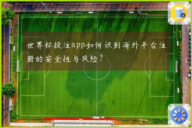 世界杯投注app如何识别海外平台注册的安全性与风险？