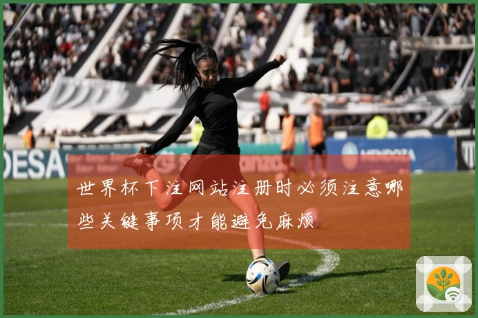 世界杯下注网站注册时必须注意哪些关键事项才能避免麻烦