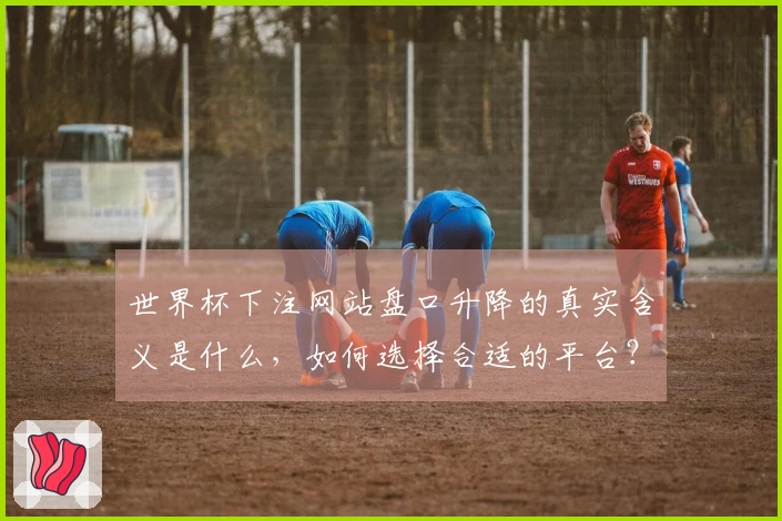 世界杯下注网站盘口升降的真实含义是什么，如何选择合适的平台？
