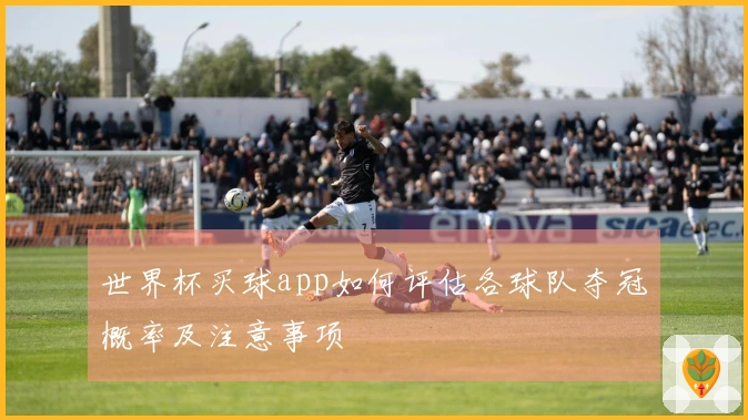 世界杯买球app如何评估各球队夺冠概率及注意事项