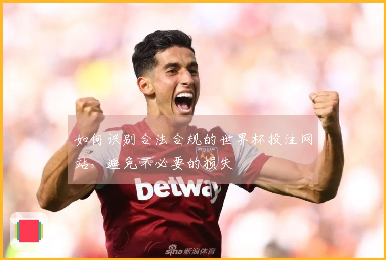如何识别合法合规的世界杯投注网站，避免不必要的损失