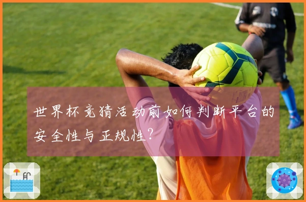 世界杯竞猜活动前如何判断平台的安全性与正规性？
