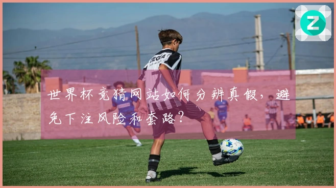 世界杯竞猜网站如何分辨真假，避免下注风险和套路？
