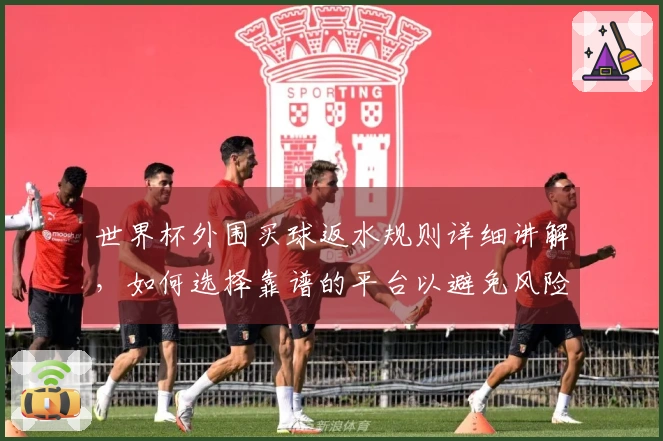 世界杯外围买球返水规则详细讲解，如何选择靠谱的平台以避免风险