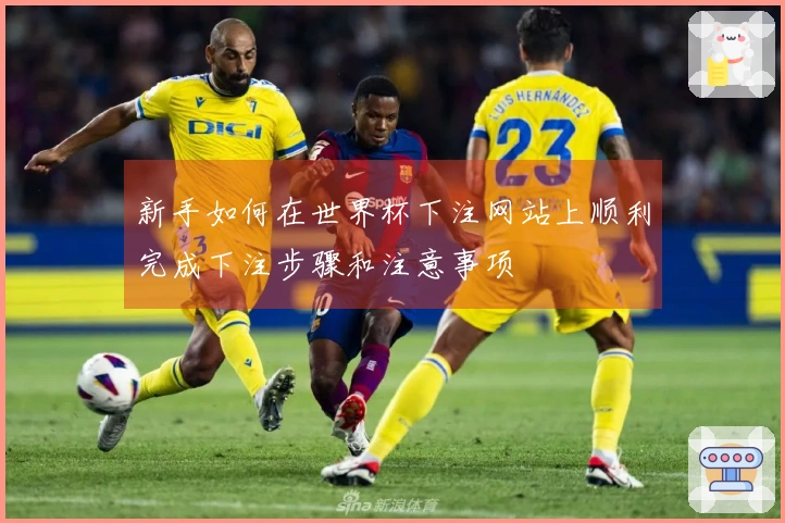 新手如何在世界杯下注网站上顺利完成下注步骤和注意事项