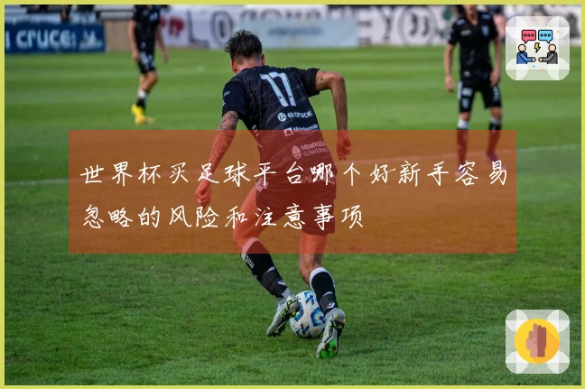 世界杯买足球平台哪个好新手容易忽略的风险和注意事项