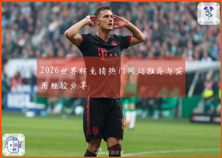 2026世界杯竞猜热门网站推荐与实用经验分享