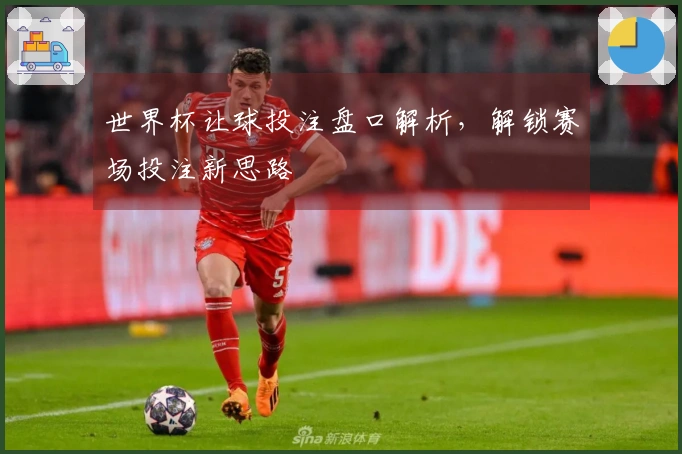世界杯让球投注盘口解析,解锁赛场投注新思路