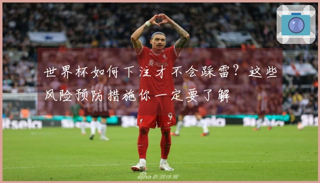 世界杯如何下注才不会踩雷？这些风险预防措施你一定要了解