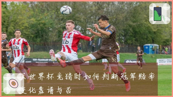 买世界杯竞猜时如何判断冠军赔率变化靠谱与否