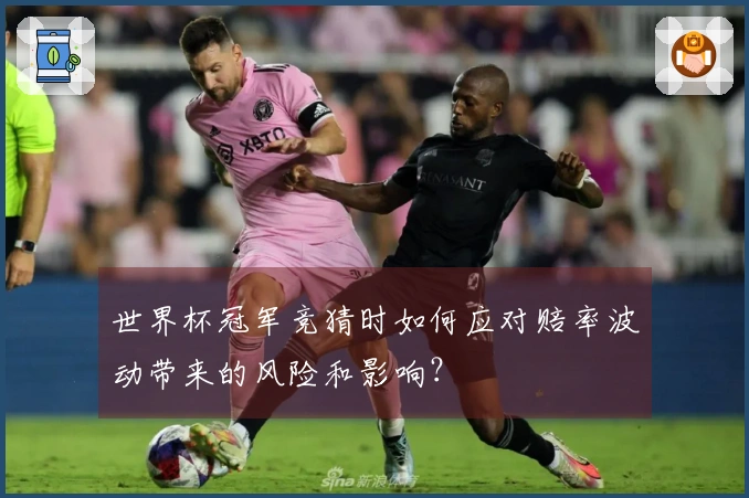 世界杯冠军竞猜时如何应对赔率波动带来的风险和影响？