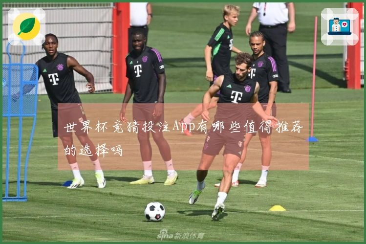 世界杯竞猜投注App有哪些值得推荐的选择吗