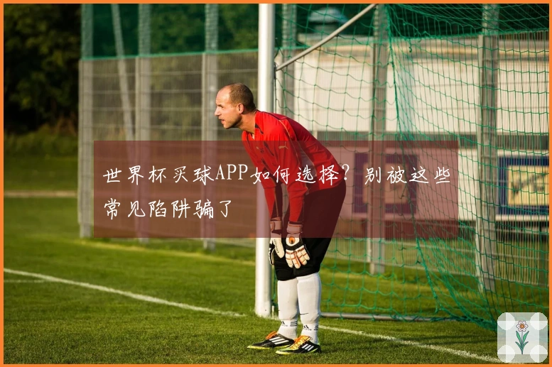 世界杯买球APP如何选择？别被这些常见陷阱骗了